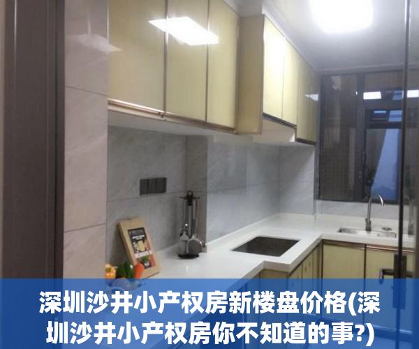 深圳沙井小产权房新楼盘价格(深圳沙井小产权房你不知道的事?)