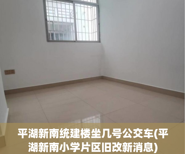 平湖新南统建楼坐几号公交车(平湖新南小学片区旧改新消息)