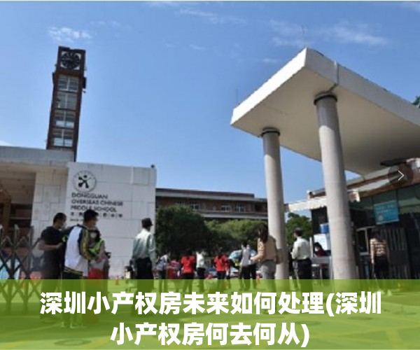 深圳小产权房未来如何处理(深圳小产权房何去何从) 深圳小产权房未来如何处理(深圳小产权房何去何从)