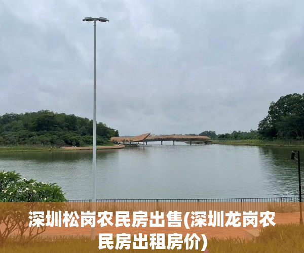 深圳松岗农民房出售(深圳龙岗农民房出租房价) 深圳松岗农民房出售(深圳龙岗农民房出租房价)