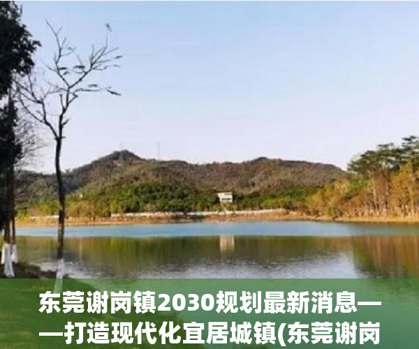 东莞谢岗镇2030规划最新消息——打造现代化宜居城镇(东莞谢岗镇位置)