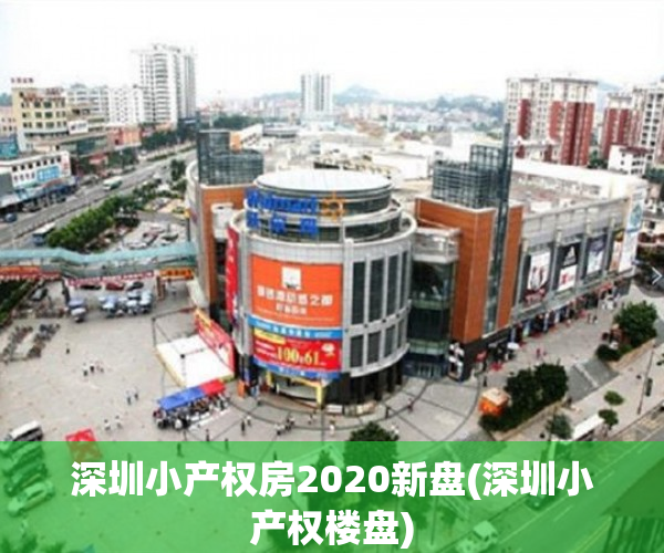 深圳小产权房2020新盘(深圳小产权楼盘)