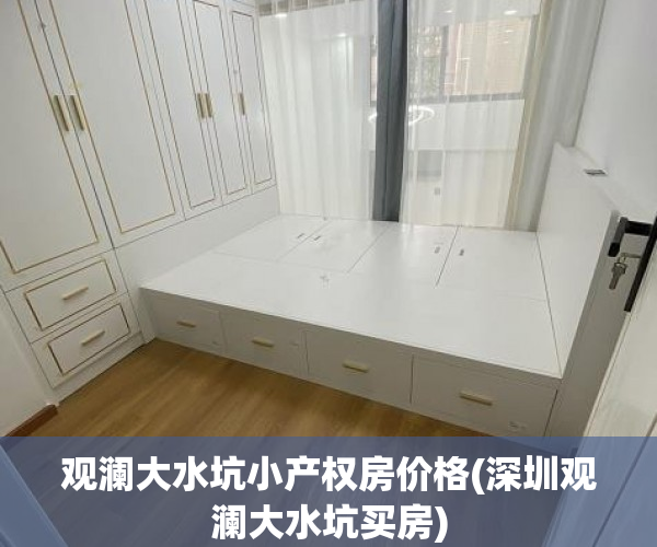 观澜大水坑小产权房价格(深圳观澜大水坑买房)