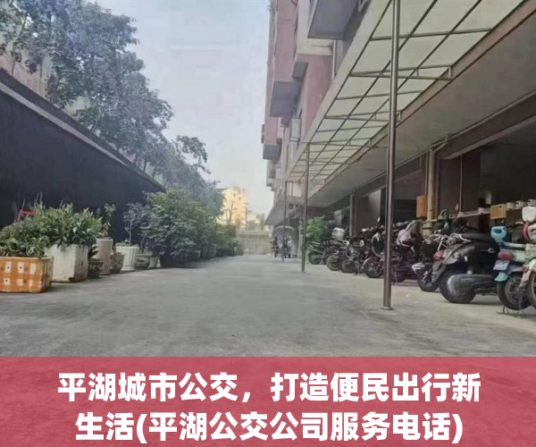 平湖城市公交，打造便民出行新生活(平湖公交公司服务电话)