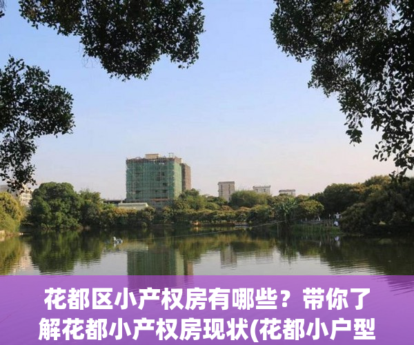 花都区小产权房有哪些？带你了解花都小产权房现状(花都小户型楼盘价格)
