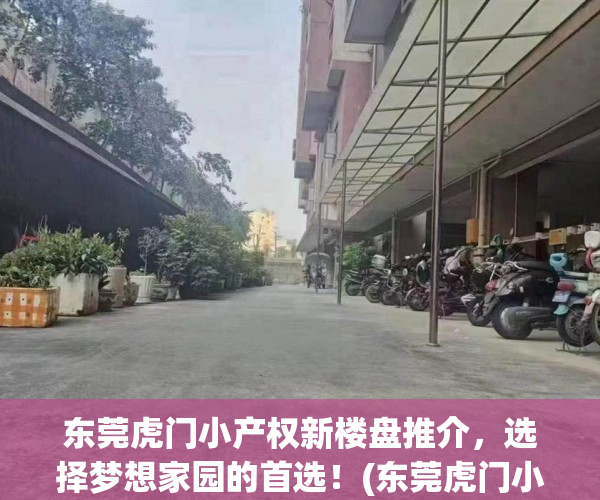 东莞虎门小产权新楼盘推介，选择梦想家园的首选！(东莞虎门小产权房价)