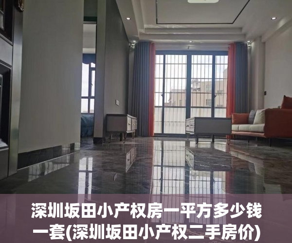 深圳坂田小产权房一平方多少钱一套(深圳坂田小产权二手房价) 深圳坂田小产权房一平方多少钱一套(深圳坂田小产权二手房价)