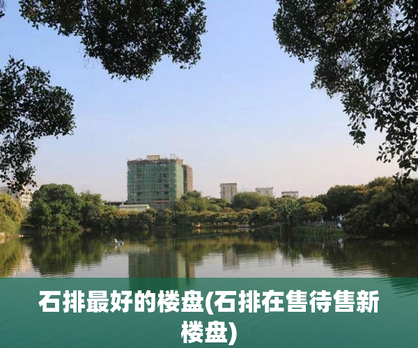 石排最好的楼盘(石排在售待售新楼盘) 石排最好的楼盘(石排在售待售新楼盘)