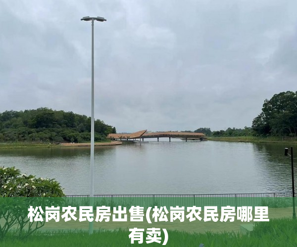 松岗农民房出售(松岗农民房哪里有卖) 松岗农民房出售(松岗农民房哪里有卖)