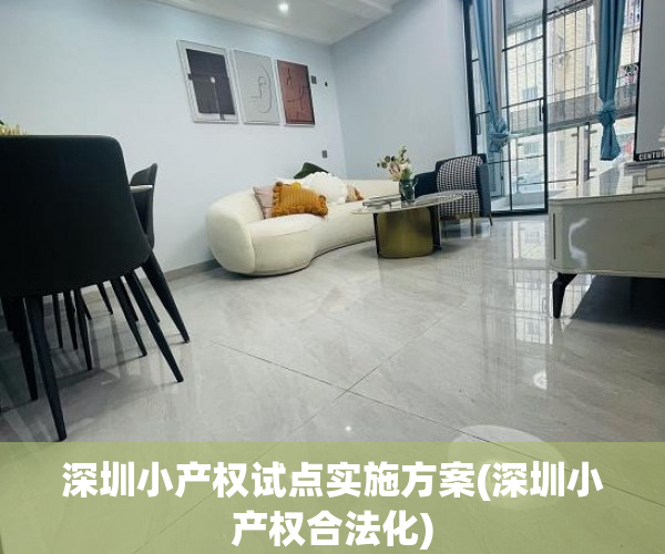 深圳小产权试点实施方案(深圳小产权合法化)