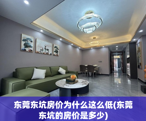 东莞东坑房价为什么这么低(东莞东坑的房价是多少)