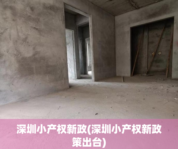 深圳小产权新政(深圳小产权新政策出台)