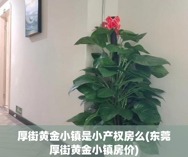 厚街黄金小镇是小产权房么(东莞厚街黄金小镇房价)