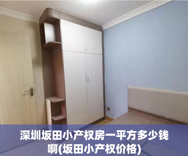 深圳坂田小产权房一平方多少钱啊(坂田小产权价格) 深圳坂田小产权房一平方多少钱啊(坂田小产权价格)