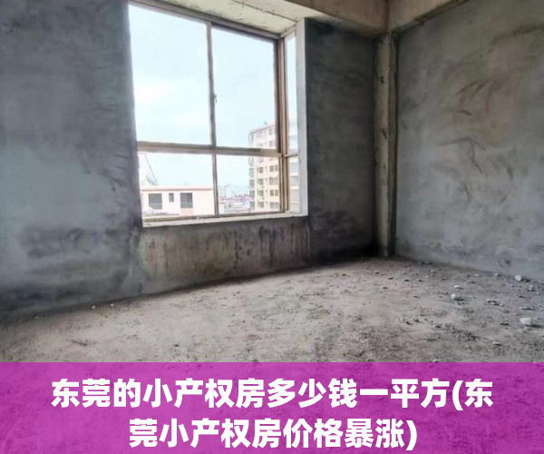 东莞的小产权房多少钱一平方(东莞小产权房价格暴涨)
