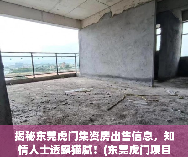 揭秘东莞虎门集资房出售信息，知情人士透露猫腻！(东莞虎门项目)