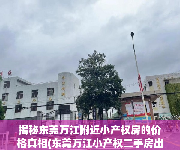 揭秘东莞万江附近小产权房的价格真相(东莞万江小产权二手房出售信息)