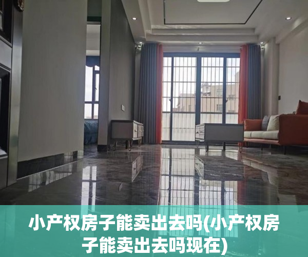 小产权房子能卖出去吗(小产权房子能卖出去吗现在) 小产权房子能卖出去吗(小产权房子能卖出去吗现在)