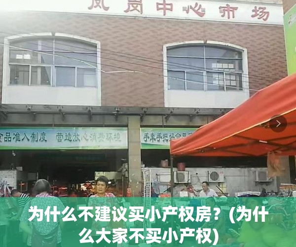 为什么不建议买小产权房？(为什么大家不买小产权)