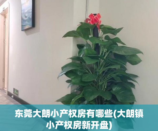东莞大朗小产权房有哪些(大朗镇小产权房新开盘)