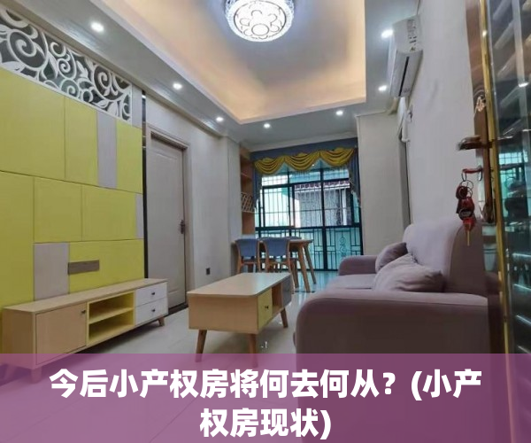 今后小产权房将何去何从？(小产权房现状)