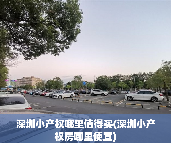 深圳小产权哪里值得买(深圳小产权房哪里便宜) 深圳小产权哪里值得买(深圳小产权房哪里便宜)