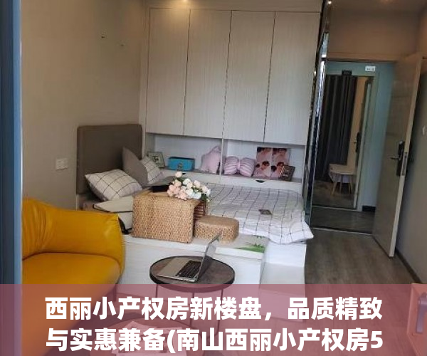 西丽小产权房新楼盘，品质精致与实惠兼备(南山西丽小产权房5栋)