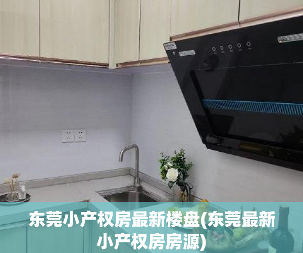东莞小产权房最新楼盘(东莞最新小产权房房源) 东莞小产权房最新楼盘(东莞最新小产权房房源)