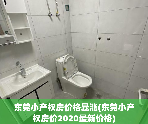 东莞小产权房价格暴涨(东莞小产权房价2020最新价格) 东莞小产权房价格暴涨(东莞小产权房价2020最新价格)