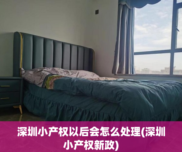 深圳小产权以后会怎么处理(深圳小产权新政) 深圳小产权以后会怎么处理(深圳小产权新政)