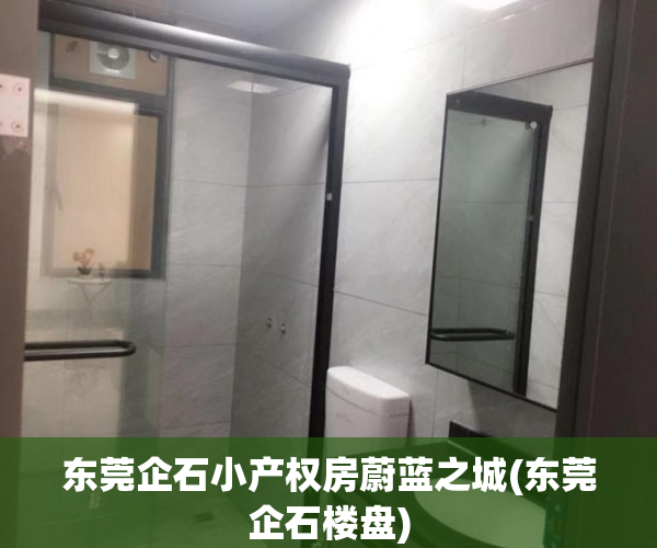 东莞企石小产权房蔚蓝之城(东莞企石楼盘) 东莞企石小产权房蔚蓝之城(东莞企石楼盘)