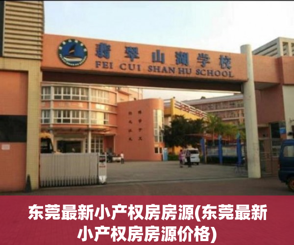 东莞最新小产权房房源(东莞最新小产权房房源价格)