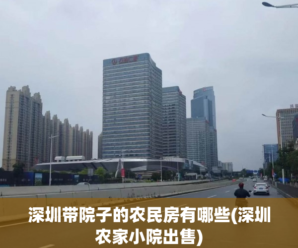 深圳带院子的农民房有哪些(深圳农家小院出售)