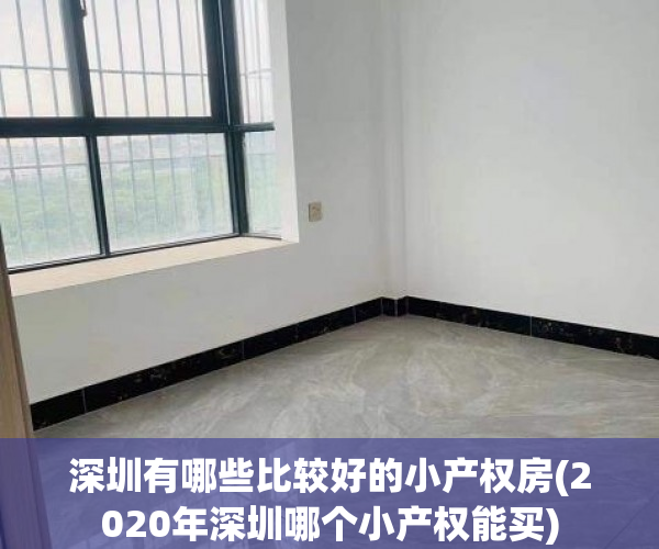 深圳有哪些比较好的小产权房(2020年深圳哪个小产权能买)