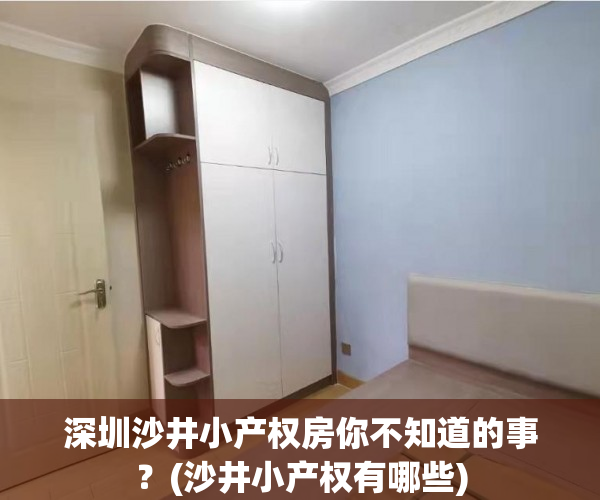 深圳沙井小产权房你不知道的事？(沙井小产权有哪些)