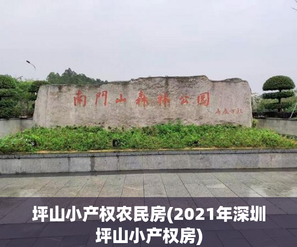坪山小产权农民房(2021年深圳坪山小产权房)