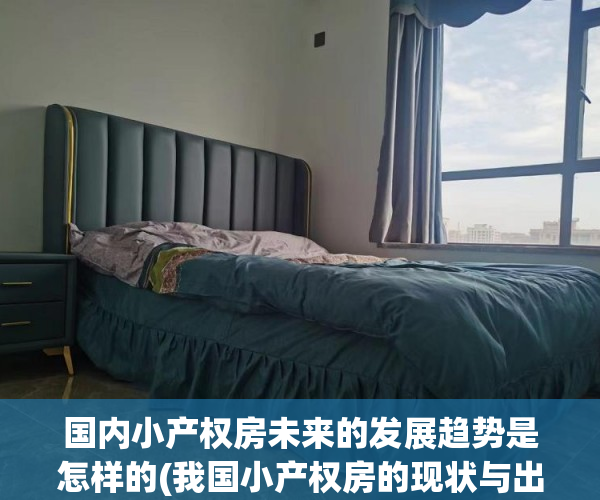国内小产权房未来的发展趋势是怎样的(我国小产权房的现状与出路)