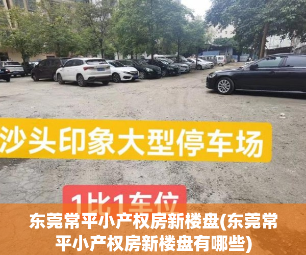 东莞常平小产权房新楼盘(东莞常平小产权房新楼盘有哪些)