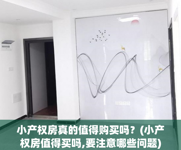 小产权房真的值得购买吗？(小产权房值得买吗,要注意哪些问题)