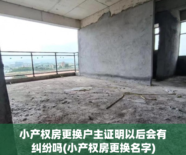 小产权房更换户主证明以后会有纠纷吗(小产权房更换名字)