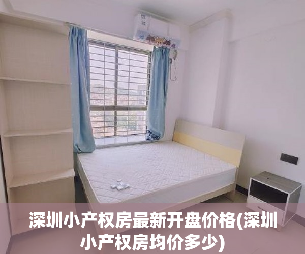 深圳小产权房最新开盘价格(深圳小产权房均价多少)