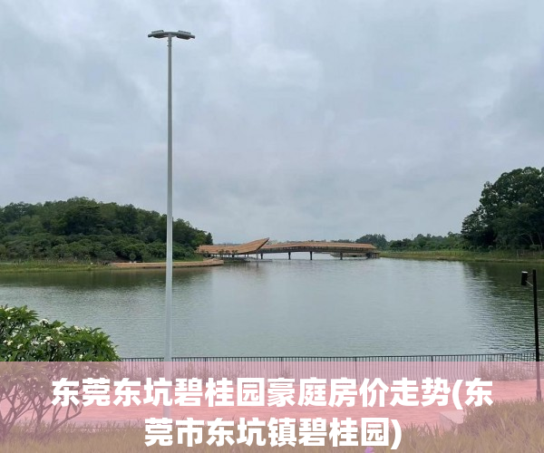 东莞东坑碧桂园豪庭房价走势(东莞市东坑镇碧桂园)
