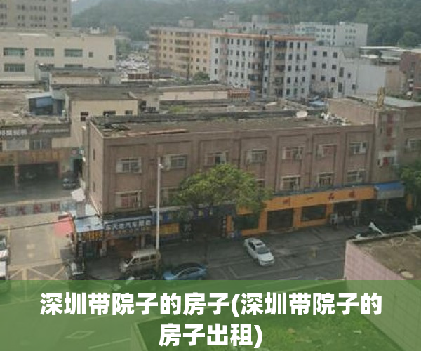深圳带院子的房子(深圳带院子的房子出租)