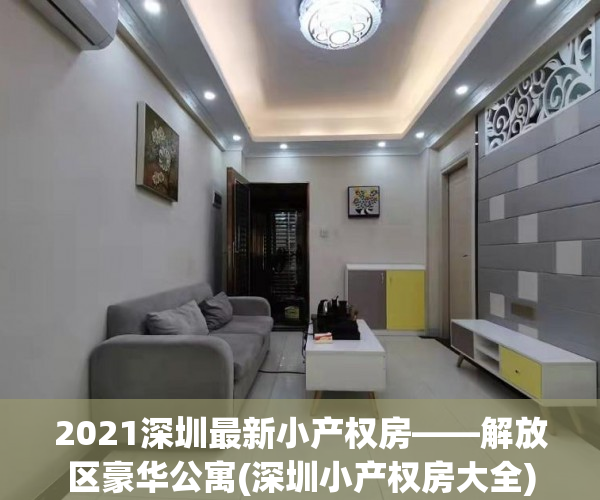 2021深圳最新小产权房——解放区豪华公寓(深圳小产权房大全)