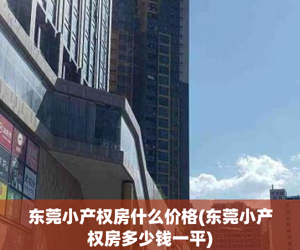东莞小产权房什么价格(东莞小产权房多少钱一平)