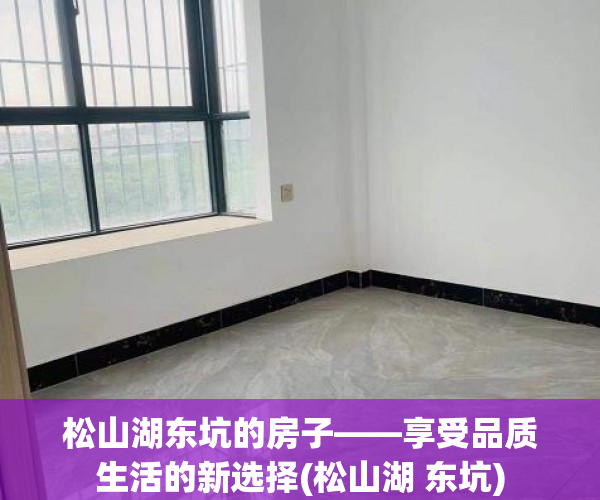 松山湖东坑的房子——享受品质生活的新选择(松山湖 东坑)