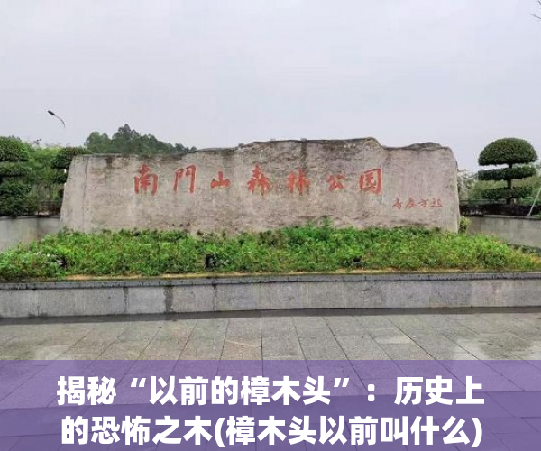 揭秘“以前的樟木头”：历史上的恐怖之木(樟木头以前叫什么)