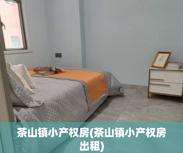 茶山镇小产权房(茶山镇小产权房出租)