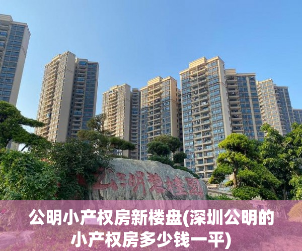 公明小产权房新楼盘(深圳公明的小产权房多少钱一平)