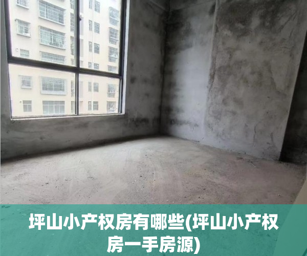 坪山小产权房有哪些(坪山小产权房一手房源)
